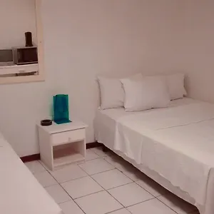 Pelikaan Curaçao